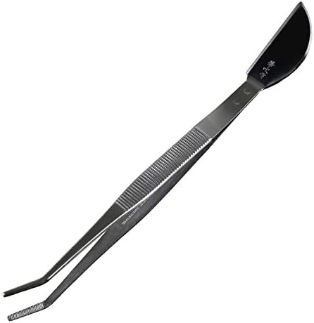 Bonsai Gereedschap | Bonsai Gebogen Punt Tweezers met Spatel Gemaakt in Japan 8-1/4In (210Mm) Roestvrij Staal Bonsai Gereedschap Bonsai Gereedschap