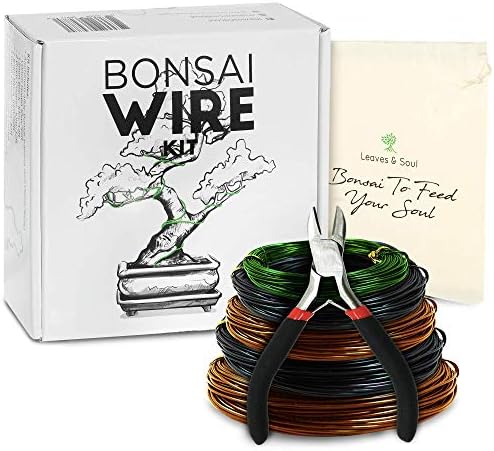 Bonsai Gereedschap | Boom Trainingsdraad Kit – 5 Rollen (160Ft) Aluminium Legering Bonsai Plant Trainingsdraad | Draadknipper | Canvas Opbergzak – Bonsai Accessoires Voor Beginners & Professionals Bonsai Gereedschap Bonsai Gereedschap