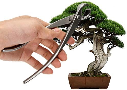 Bonsai Gereedschap | Professionele Bonsai Gereedschappen Knop Cutter Concaaf Cutter Tuingereedschappen, Roestvrijstalen Knop Cutter, Ronde Rand Concaaf Takken Cutter, 210Mm, Roestvrijstalen Knop Cutter, Professionele Kwaliteit B Bonsai Gereedschap Bonsai Gereedschap