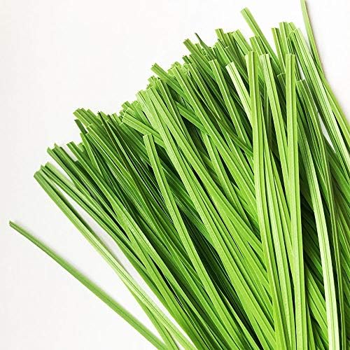 Tuindraad & Twist Ties | Tuin Twist Tie Plantenbinders Strepen 200 Stuks 15 cm Voor Planten, Klimop En Wikkeldraden Of Kerstboom Tuindraad & Twist Ties Tuindraad & Twist Ties